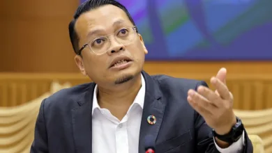 nik nazmi