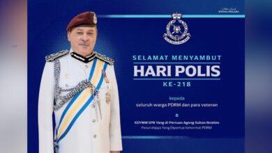 Sultan Ibrahim Sultan Iskandar