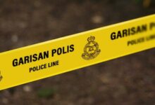 garis polis
