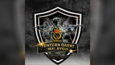 tentera darat