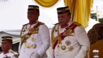 raja perlis